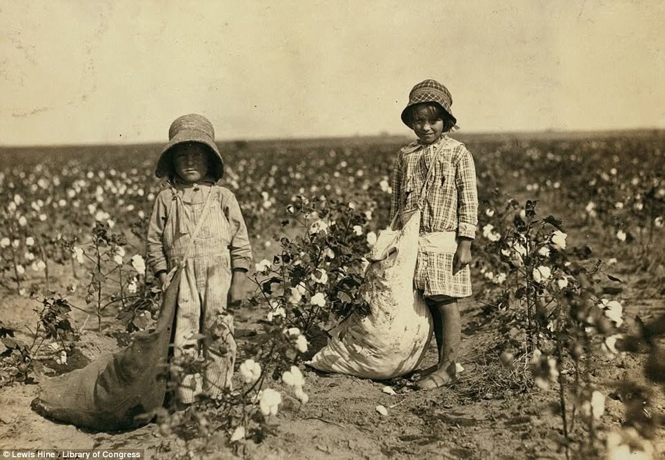 Historic photograph of two children standing among cotton plants in a field, holding large sacks used for picking cotton.